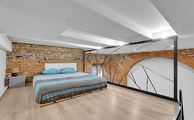Loft Toulousain Atypique Renove A Neuf